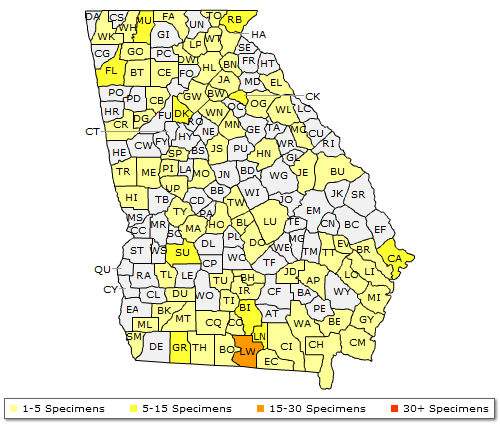 The range of Nyssa sylvatica